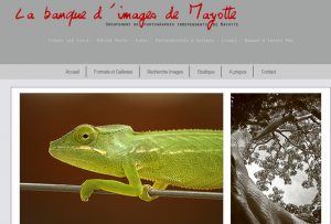 Capture d'écran de la page d'accueil de la banque d'images en ligne lancée par trois photographes de Mayotte