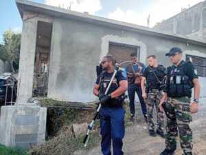chiens errants, police municipale de Pamandzi, brigade de gendarmerie de Pamandzi, préfet de Mayotte