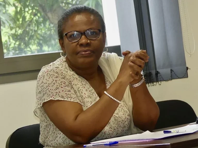 Mayotte, Place nette, Marie Guévenoux, Gérald Darmanin,