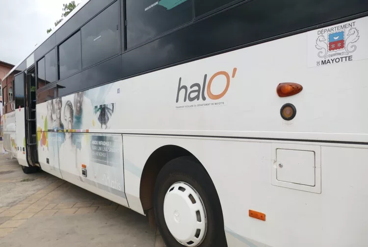 Halo', Transdev, Mayotte
