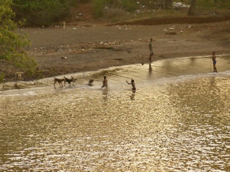 Plan chien, Mayotte, Stéphane Lamart