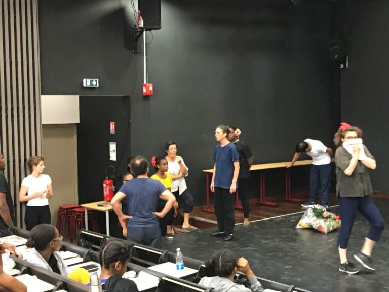 Université de Mayotte, DU Pratiques du spectacle vivant,