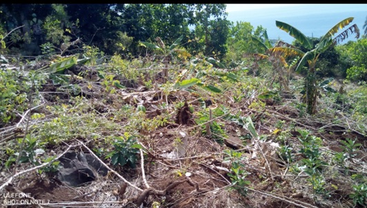 Inter-service de l’Eau et de la Nature de Mayotte, MISEN 976, Conseil Départemental, Office National des Forêts, Direction de l’Alimentation de l’Agriculture et de la Forêt