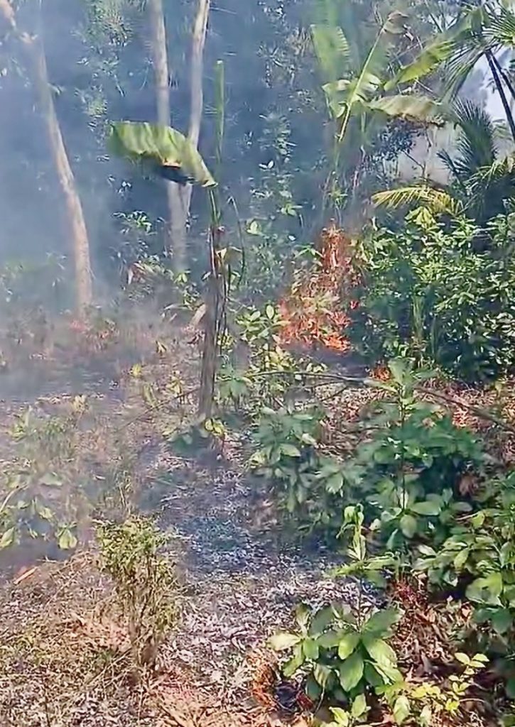 écobuage, Mayotte, brûlis, UICN, forêt, déforestation