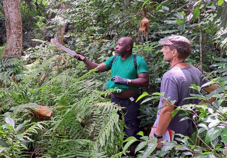 AB, agriculture biologique, Mayotte, EPFAM