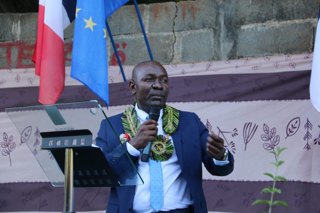 Mayotte, Issa Issa Abdou, élections départementales,