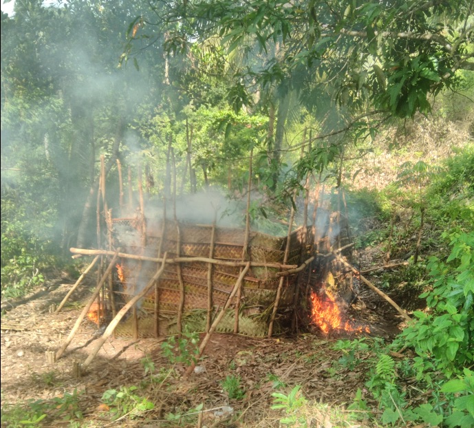 DAAF, charbonnage, Mayotte