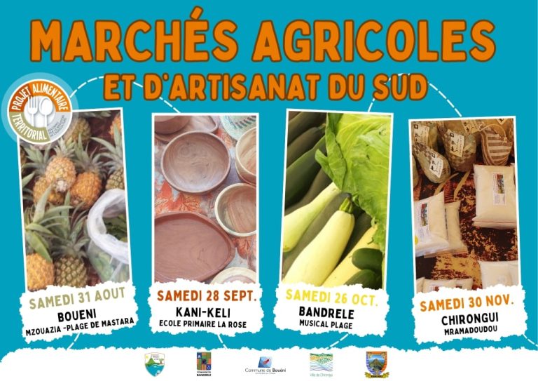 Mayotte, agricole, artisanat,