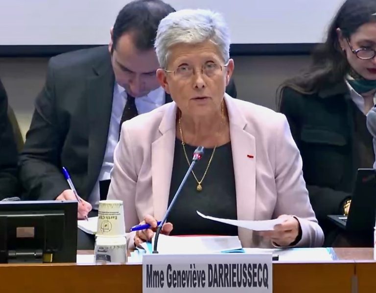 Geneviève Darrieussecq, Anchya Bamana, mayotte, AME, Assemblée national, Sénat, PADHUE