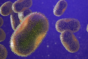 Monkeypox, ARS, Mayotte
