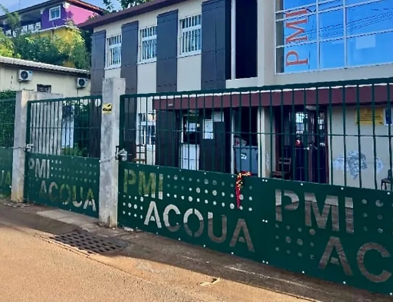PMI, Mayotte, Forces vives