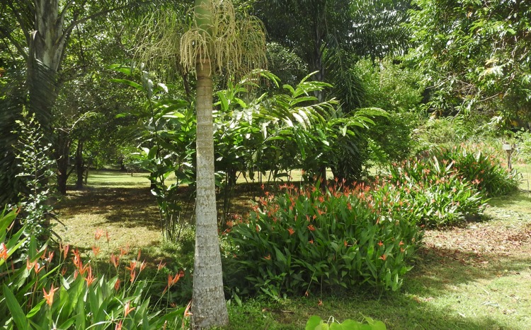 Fête de la nature, Mayotte, EEDD