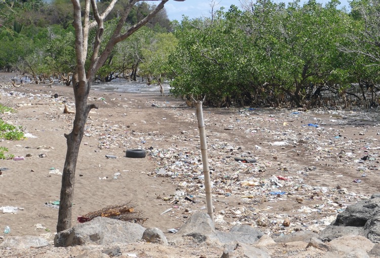 Déchets, Nayma, Koungou, Mayotte
