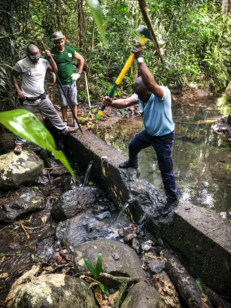 MISEN, COLDEN, Mayotte