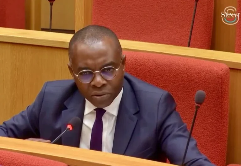 Thani Mohamed Soilihi, Mayotte, Sénat, Mediapart