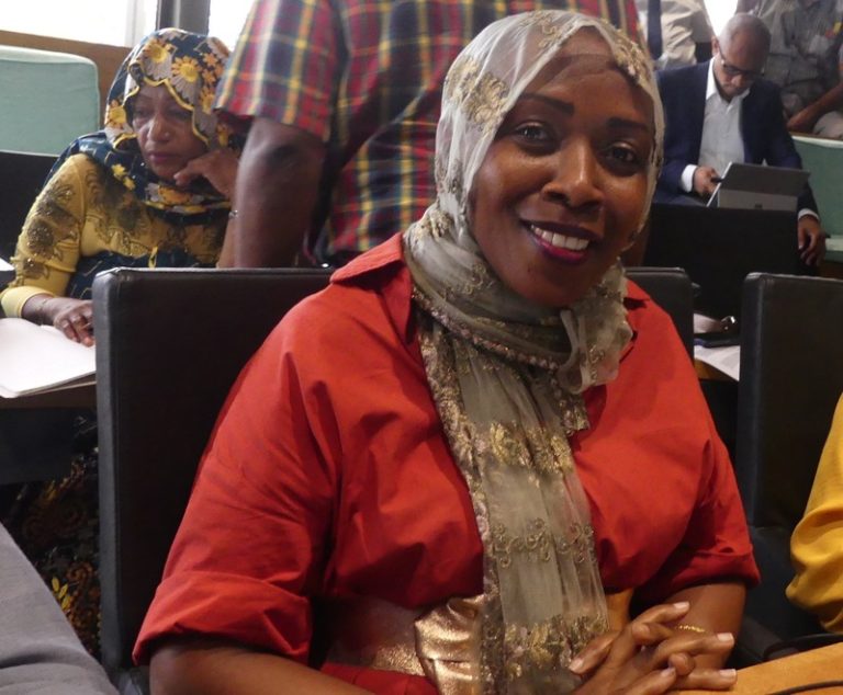 Conseil départemental, EDM, ADIM, Mayotte