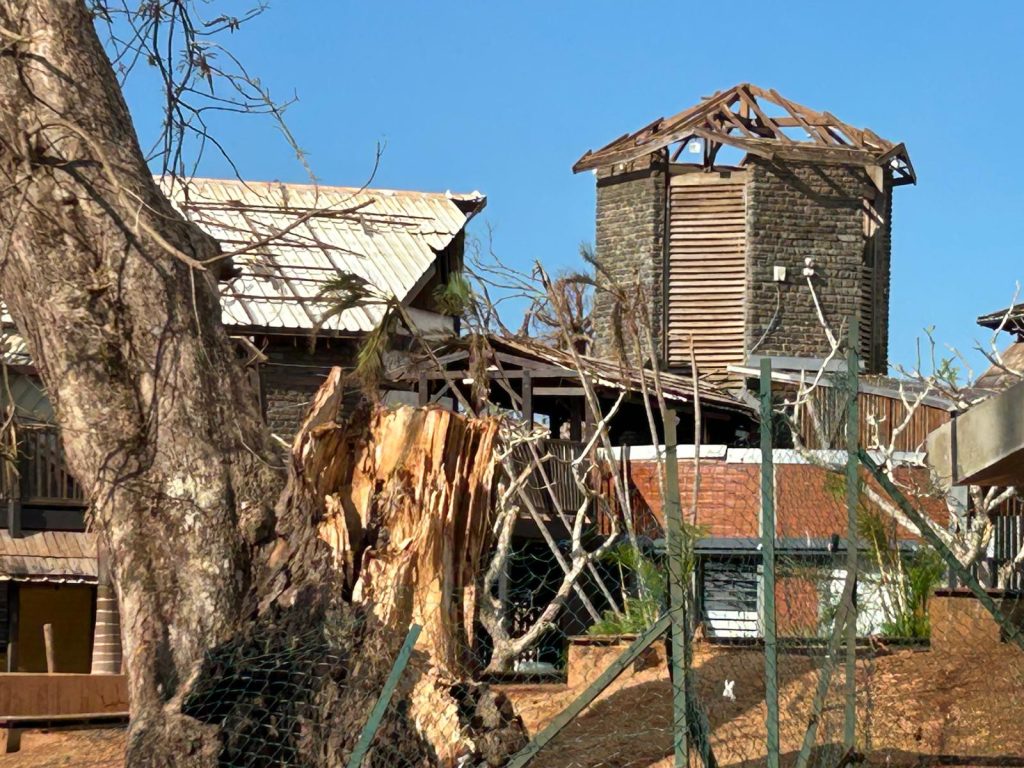 Mayotte, cyclone, école, collège, Chiconi, Chido,