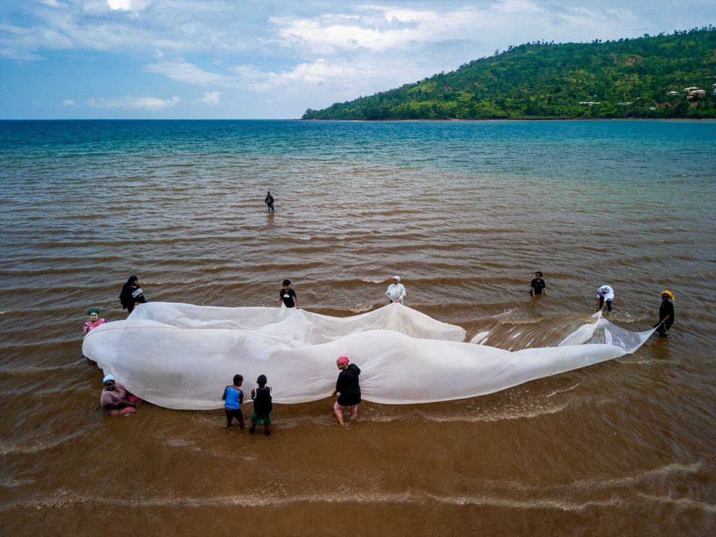Mayotte, Saragosse, Espagne, voyage, collégiens de Sada,