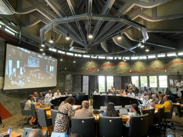 conseil départemental, reconstruction, Chido, budget