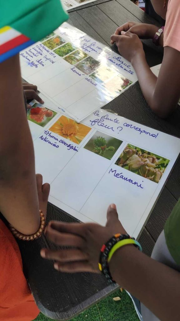 appel à projets, petite-terre, cité éducative, quartier prioritaire