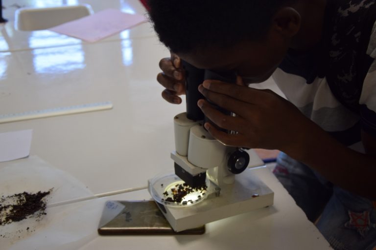 microplastique, étude, collège, Plasma