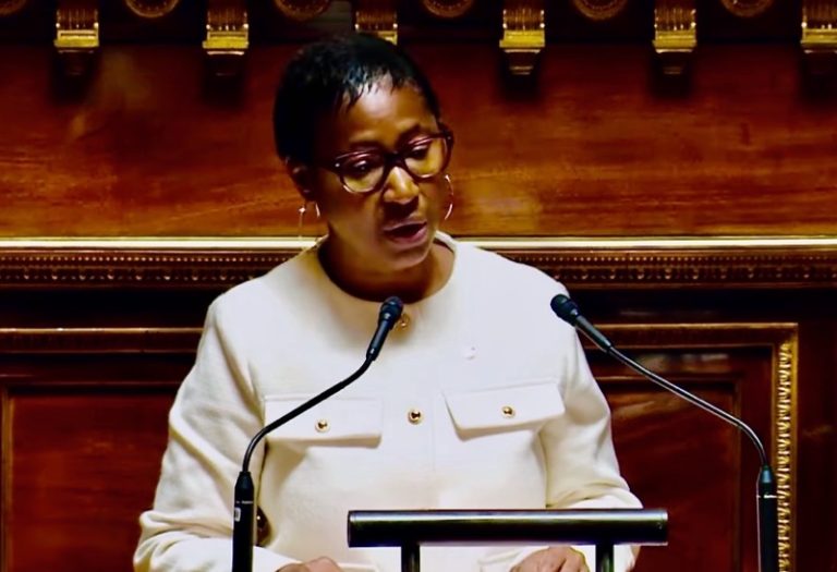 RDPI, Salama Ramia, Mayotte, Projet de loi de finances