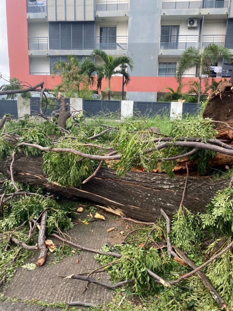 La Réunion, Garance, cyclone,