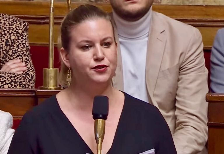 LFI, NFP, Conseil constitutionnel, Mayotte, Mathilde Panot