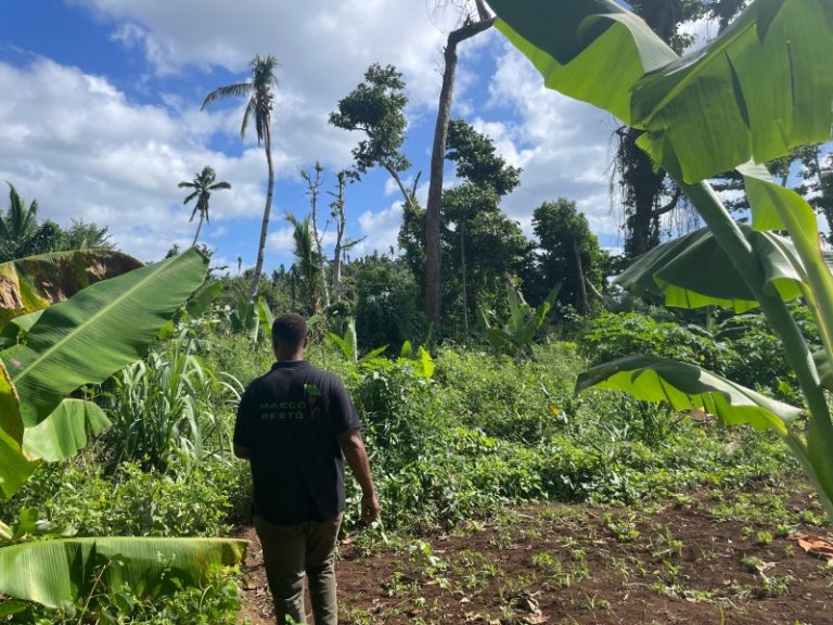 Bouyouni, piste longue, expropriation, développement, débat, Mayotte
