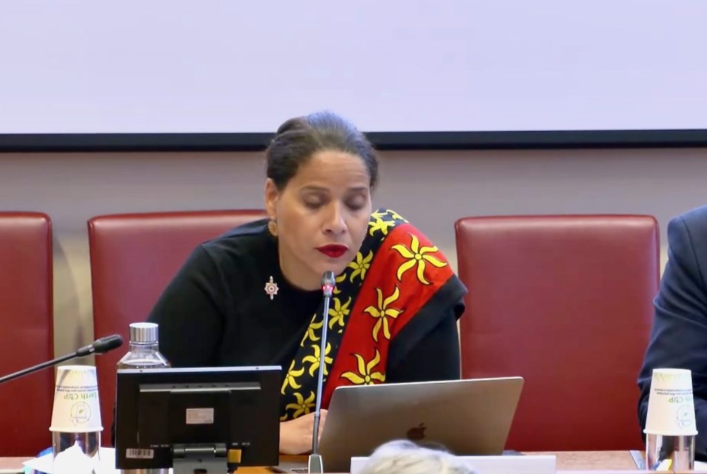 PLPRM, Mayotte, assemblée nationale,