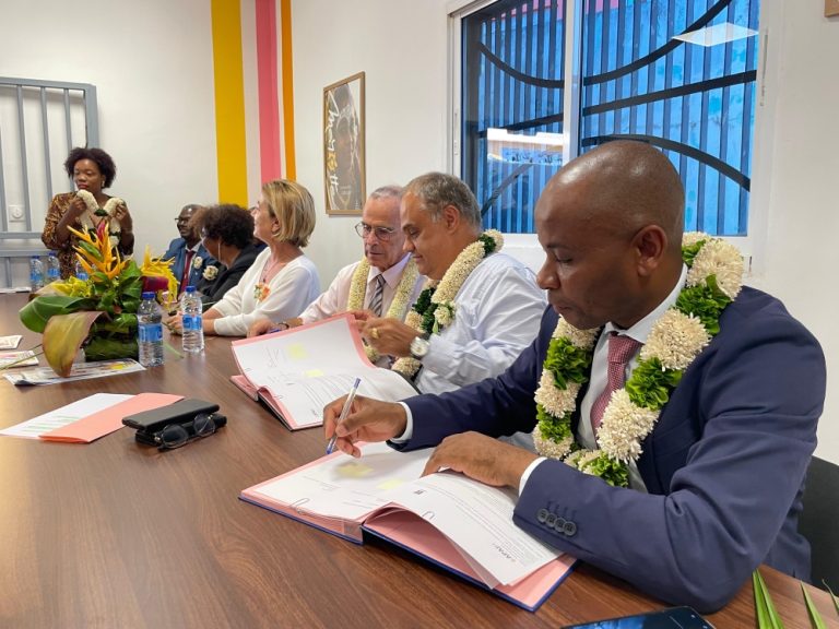 ESAT, personne en situation de handicap, insertion, travail, Mayotte