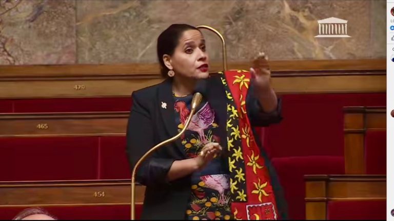PLPRM, Mayotte, titre de séjour, LIOT, Valls, Gosselin