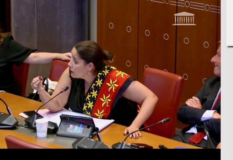 PLPRM, Assemblée nationale, Mayotte, Titres de séjour