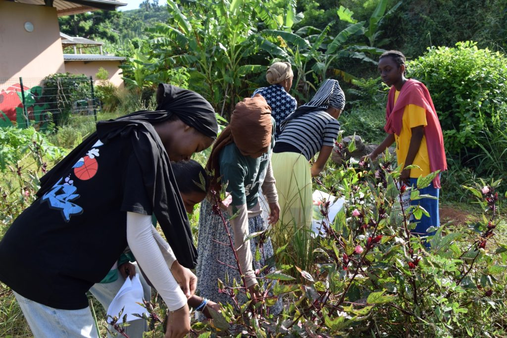 Journée, environnement, écologie, collège, Passamaïnty, Mayotte