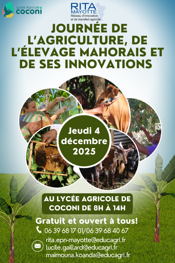 RITA, agriculture, élevage, Coconi, Mayotte
