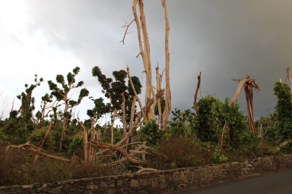 Mayotte, nature, environnement, Chido,