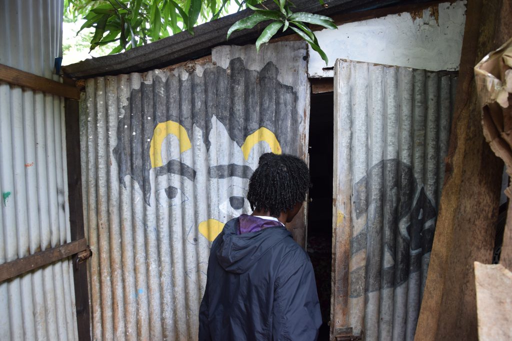 Passamaïnty, Gouloué, quartier, cases, tôle, Mayotte