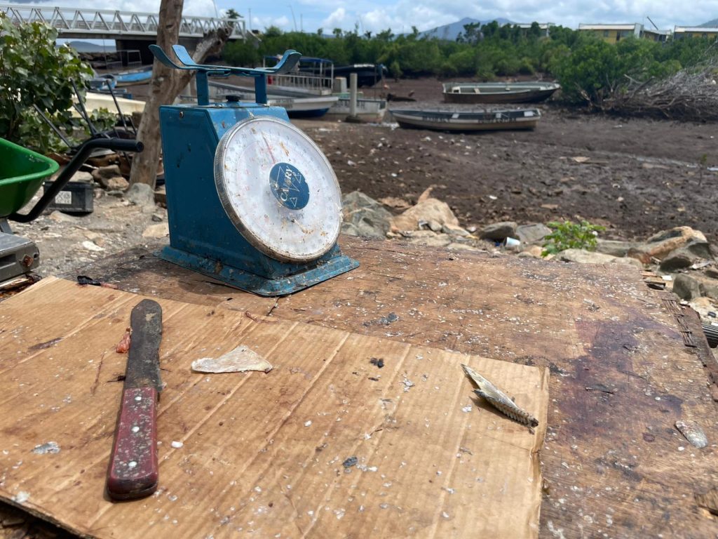 Pêche, M'tsapéré, blocage, vente, pécheur, Mayotte