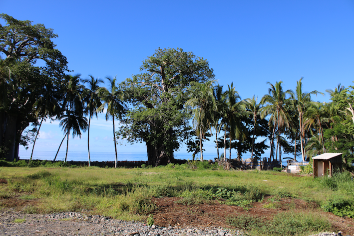 Mayotte, Jardin Maoré, travaux, hôtel,