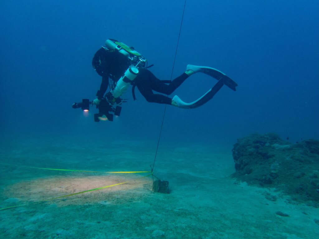 Mayotte, herbiers, lagon, dugong, Naturalistes, Créocean OI, plongée sous-marine,