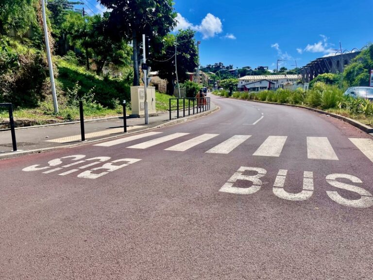 BHNS, mobilité, Mayotte, CADEMA, AOM, LOM