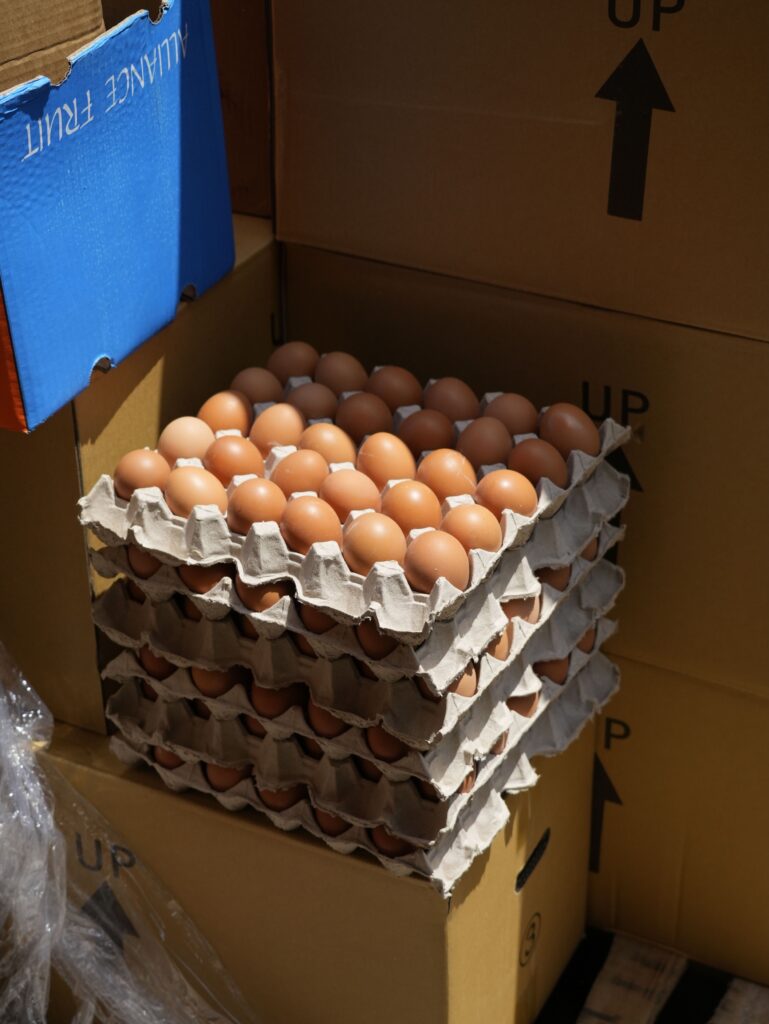 Mayotte, précarité alimentaire, nourriture, oeufs, marché, cartons empilés,