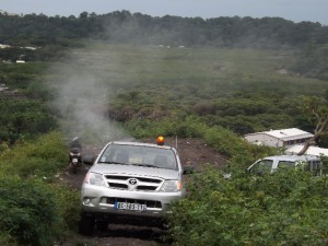 Pulvérisation d'insecticide sur la côté Sogéa, le jeudi 27 mars. Les campagnes de démoustications se poursuivent