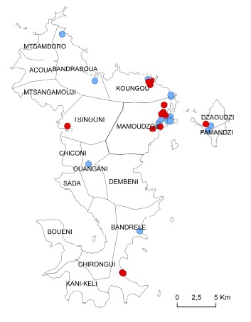 Distribution géographique des cas de dengue à Mayotte au 20 mars 2014