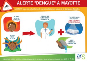 L'affiche de l'alerte "Dengue" diffusée par l'ARS en début d'année 2014