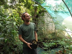 Benoit Duperron sous les ombrières du CBNM avec un plant de Calophyllum Comorense, un grand arbre que l'on trouve autour du Mont Choungui
