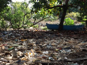 La mangrove de Mtsapéré n'est plus qu'une immense décharge
