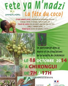 Fête cocotier affiche