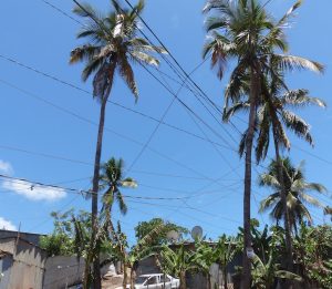 Une toile d'araignée de fils électriques et téléphoniques à Majicavo Bandrajou