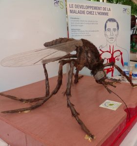 Moustique et maladies